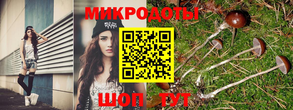 Псилоцибиновые грибы мухоморы  Вход с VPN  Россия 